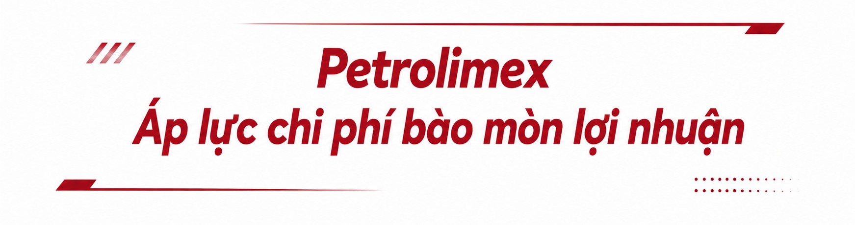 Những đại diện Việt Nam trong Top 100 doanh nghiệp lớn nhất