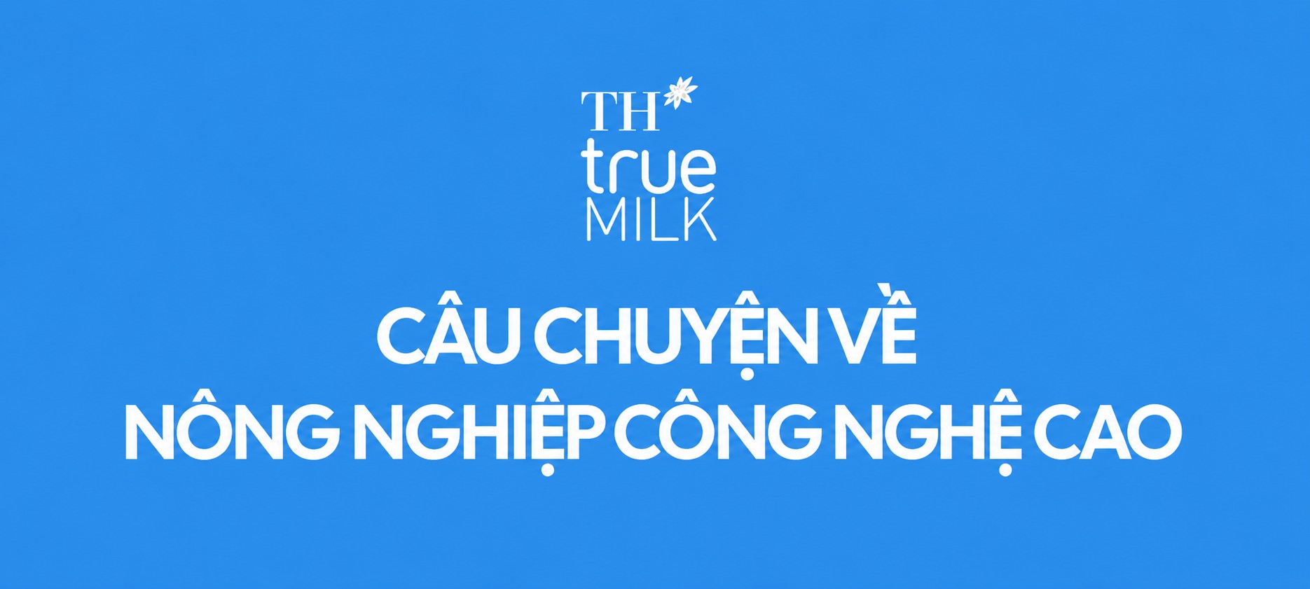 Top 10 thương hiệu Việt được độc giả Mekong ASEAN lựa chọn Top 10 thương hiệu Việt được độc giả Mekong ASEAN lựa chọn