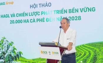 Bầu Đức đăng ký mua thêm 4 triệu cổ phiếu HAG