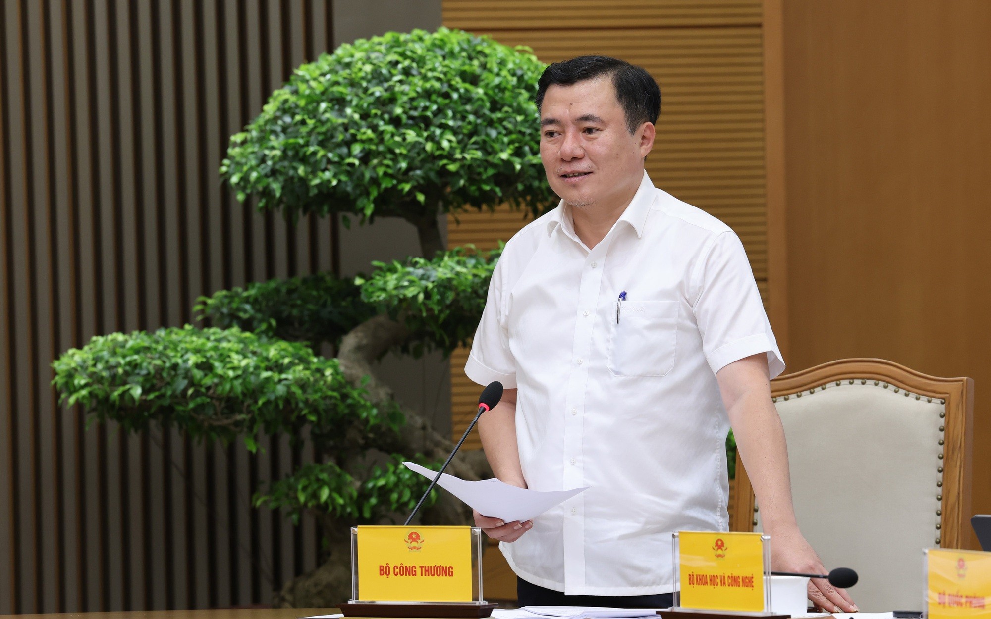 Thứ trưởng Bộ Công Thương Nguyễn Sinh Nhật Tân báo cáo tại cuộc họp - Ảnh: VGP