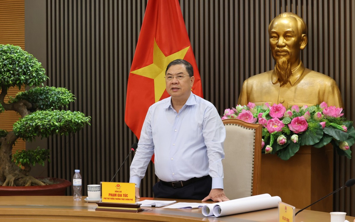 Phó Thủ tướng Thường trực Phạm Gia Túc phát biểu kết luận cuộc họp. Nguồn: VGP.