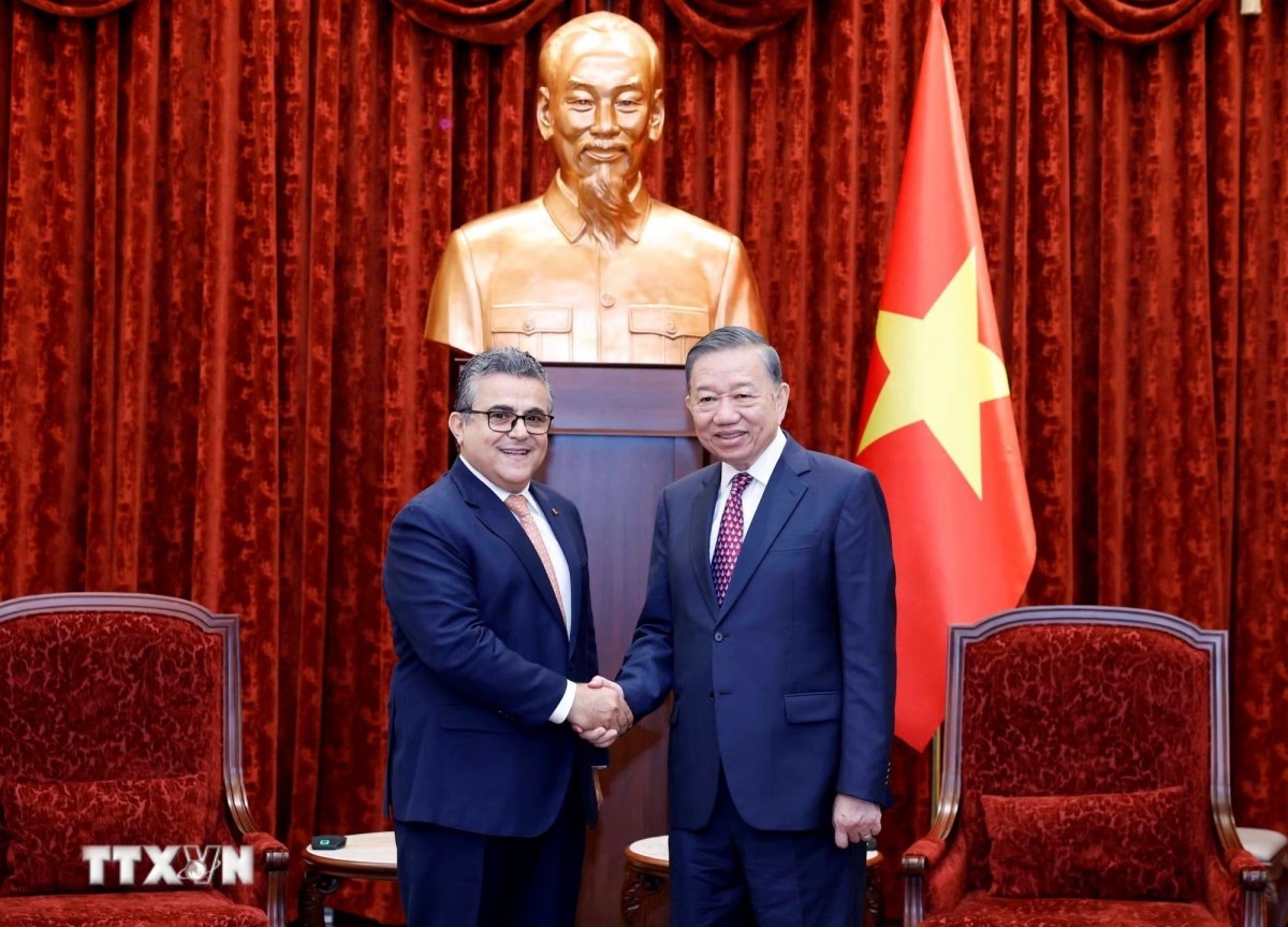 Tổng Bí thư, Chủ tịch nước Tô Lâm tiếp Đại sứ đặc mệnh toàn quyền Nhà nước Palestine Saadi Salama. Ảnh: TTXVN.