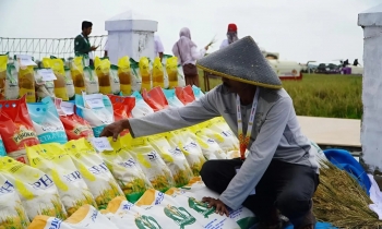 Indonesia lên kế hoạch xuất khẩu 200.000 tấn gạo sang ASEAN và Trung Đông