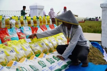Indonesia lên kế hoạch xuất khẩu 200.000 tấn gạo sang ASEAN và Trung Đông