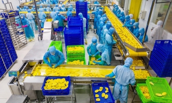 Antesco dừng mở rộng nhà máy Bình Long, rót 419 tỷ đồng xây nhà máy ở Tây Ninh