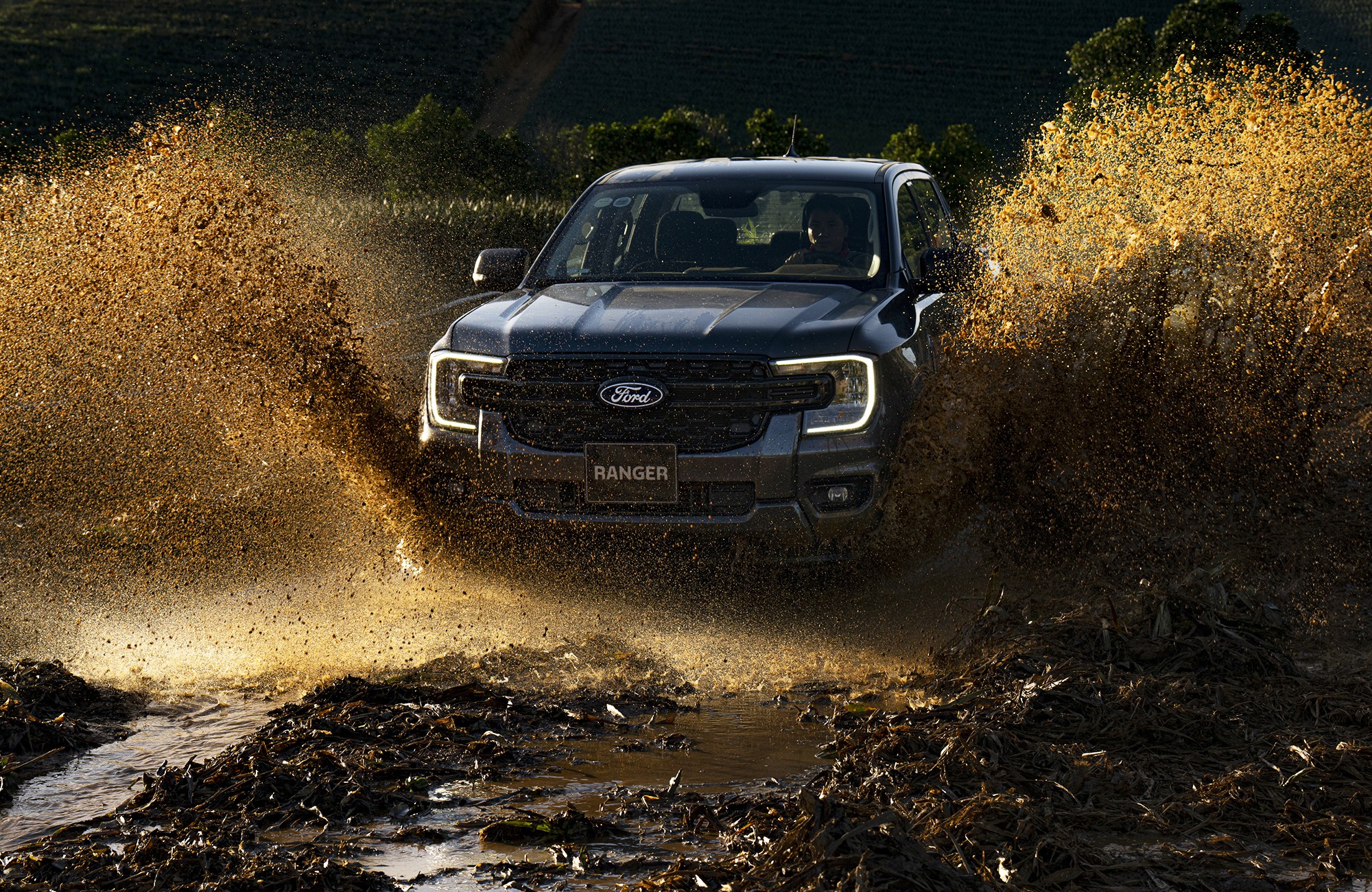 Phiên bản Ranger XLS. Nguồn: Ford Việt Nam.