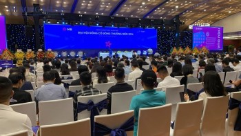 Cổ đông MB sắp nhận 8.000 tỷ đồng cổ tức trong tuần tới