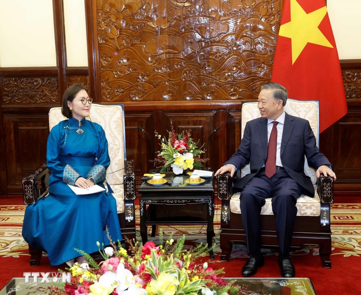 Tổng Bí thư, Chủ tịch nước Tô Lâm tiếp Đại sứ Mông Cổ Hulan Ganbaatar.