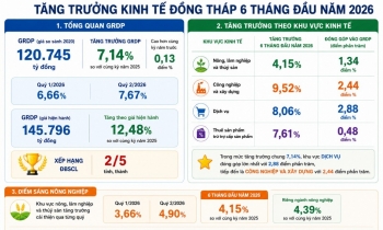 Đồng Tháp xếp thứ 2 vùng ĐBSCL về tăng trưởng GRDP
