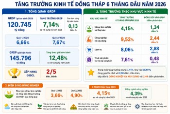 Đồng Tháp xếp thứ 2 vùng ĐBSCL về tăng trưởng GRDP