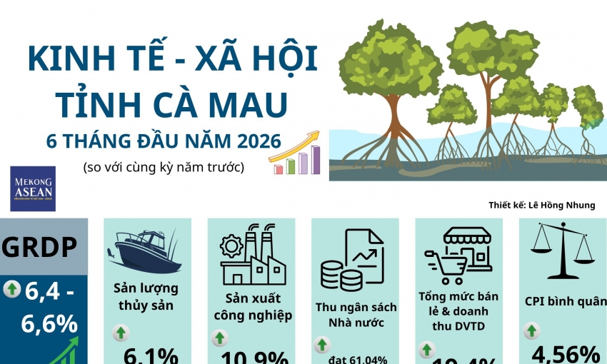 Các chỉ số kinh tế nổi bật của Cà Mau nửa đầu năm 2026