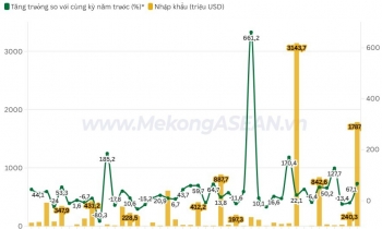 Nhập khẩu từ Mỹ tăng tới 26%, kim ngạch hai chiều hơn 97 tỷ USD