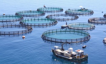 Việt Nam đăng cai diễn đàn quốc tế về nuôi biển xanh và thông minh của châu Á