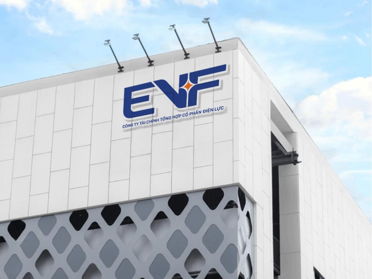 Ảnh EVF. Nguồn EVF