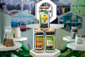 Phân bón Bình Điền sắp chi hơn 200 tỷ đồng trả cổ tức