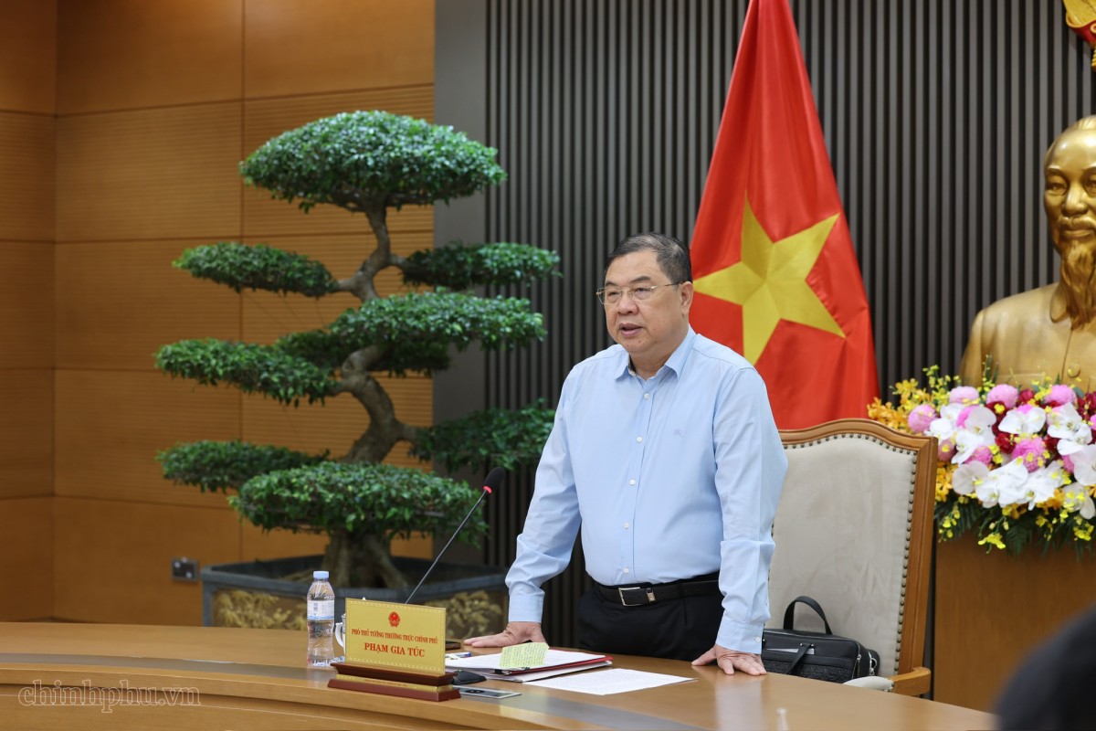 Khẩn trương hoàn thiện hồ sơ điều chỉnh dự án điện hạt nhân Ninh Thuận