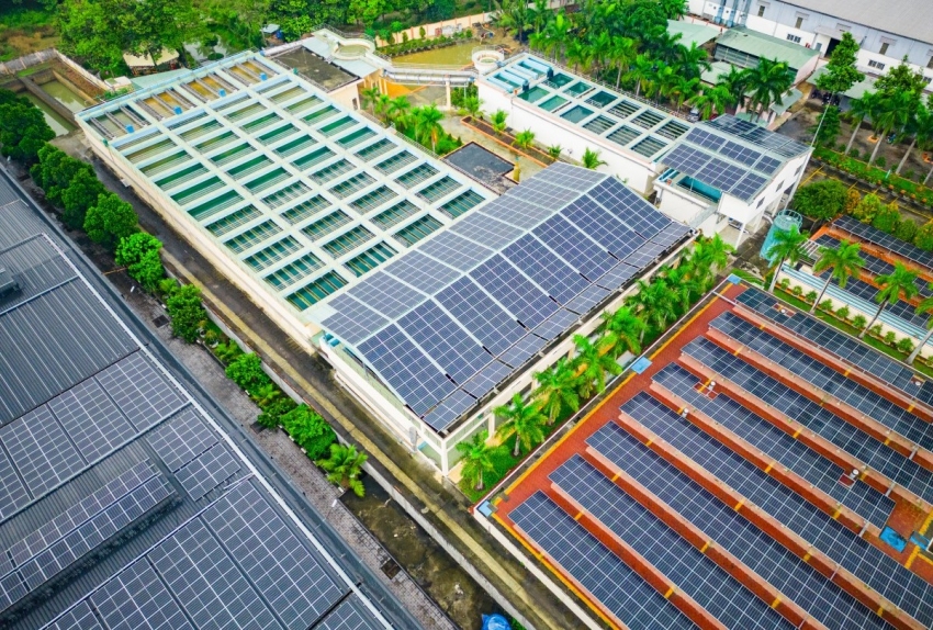Lợi nhuận Nam Tân Uyên tăng trưởng nhờ cổ tức, tiền gửi tăng mạnh