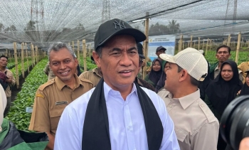 Indonesia lên kế hoạch xuất khẩu 6,25 tỷ USD cà phê mỗi năm