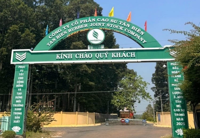 Cao su Tân Biên báo lãi quý 2/2026 giảm hơn 50%