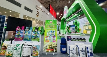 Hoá chất Đức Giang dự kiến trả cổ tức 80% bằng tiền mặt
