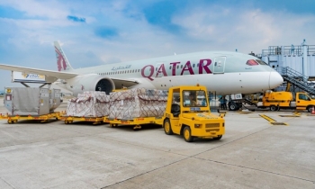 Nhiều doanh nghiệp sắp chốt quyền trả cổ tức tiền mặt, cao nhất 80%