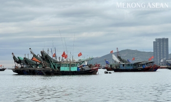 Thủy sản là mặt hàng nhập khẩu lớn nhất từ Chile