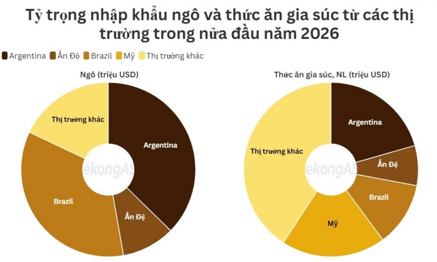 Nhập khẩu thức ăn gia súc từ Argentina giảm tới 51%