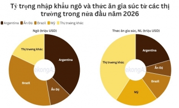 Nhập khẩu thức ăn gia súc từ Argentina giảm tới 51%