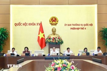 7 nhóm chính sách định hướng sửa đổi Luật Đất đai