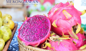 Xuất khẩu nông lâm thủy sản vượt 42 tỷ USD, đạt 58% kế hoạch năm