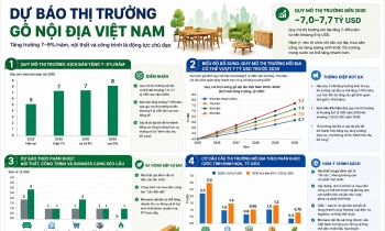 Thị trường nội địa - trụ cột chiến lược mới của ngành gỗ Việt Nam