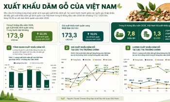 Xuất khẩu gỗ chậm lại, dăm gỗ và viên nén trở thành động lực tăng trưởng