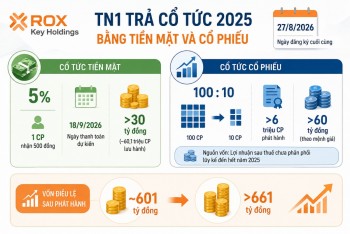 ROX Key Holdings sắp trả cổ tức, vốn điều lệ dự kiến vượt 661 tỷ đồng