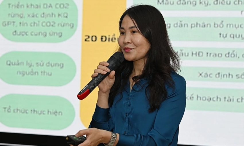 Ngành cao su trước cơ hội từ thị trường tín chỉ carbon