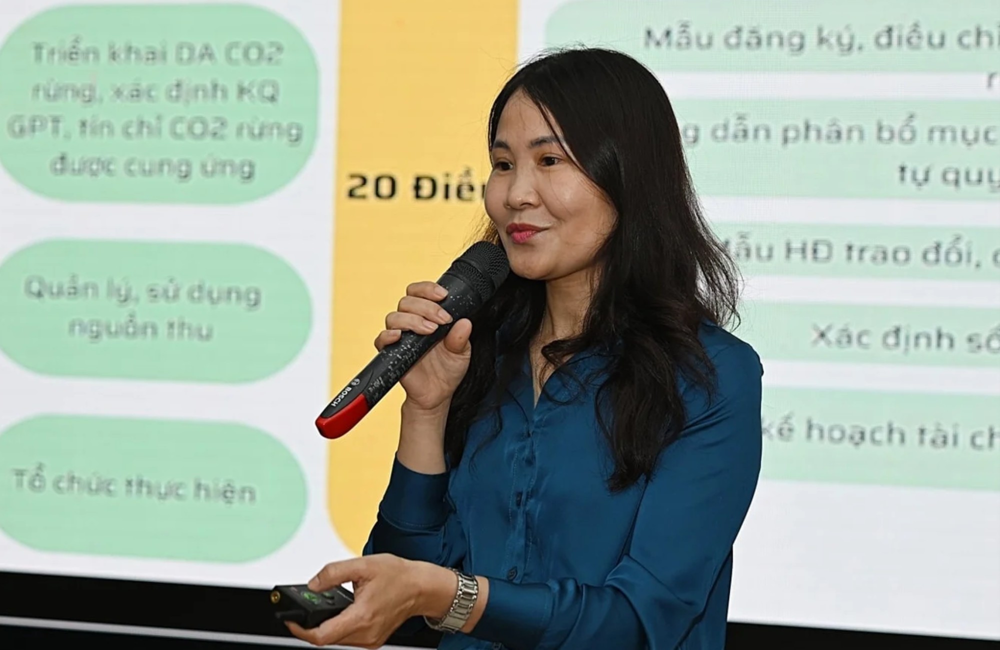 Ngành cao su trước cơ hội từ thị trường tín chỉ carbon
