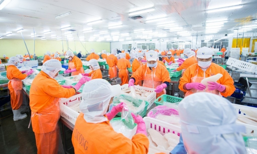 Con trai Tổng giám đốc Nam Việt mua vào một triệu cổ phiếu ANV