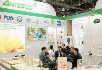 Antesco muốn huy động 200 tỷ đồng từ cổ phiếu để trả nợ ngân hàng
