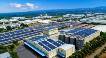 Cổ phiếu của Nông nghiệp Hòa Phát được vay margin, giảm 30% sau 6 tháng