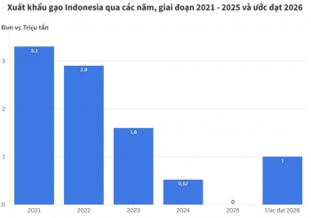 Indonesia xuất 1.000 tấn gạo cao cấp sang Malaysia