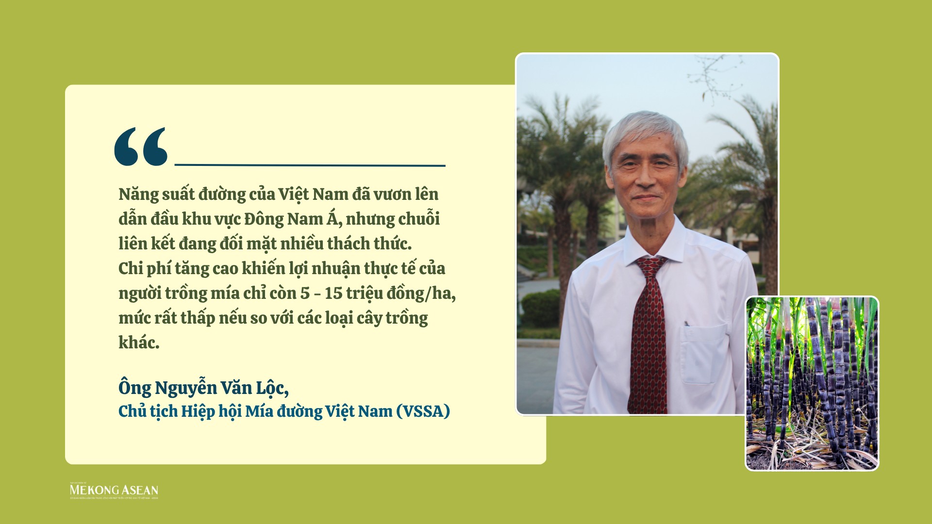 Ngành mía đường cần môi trường cạnh tranh công bằng