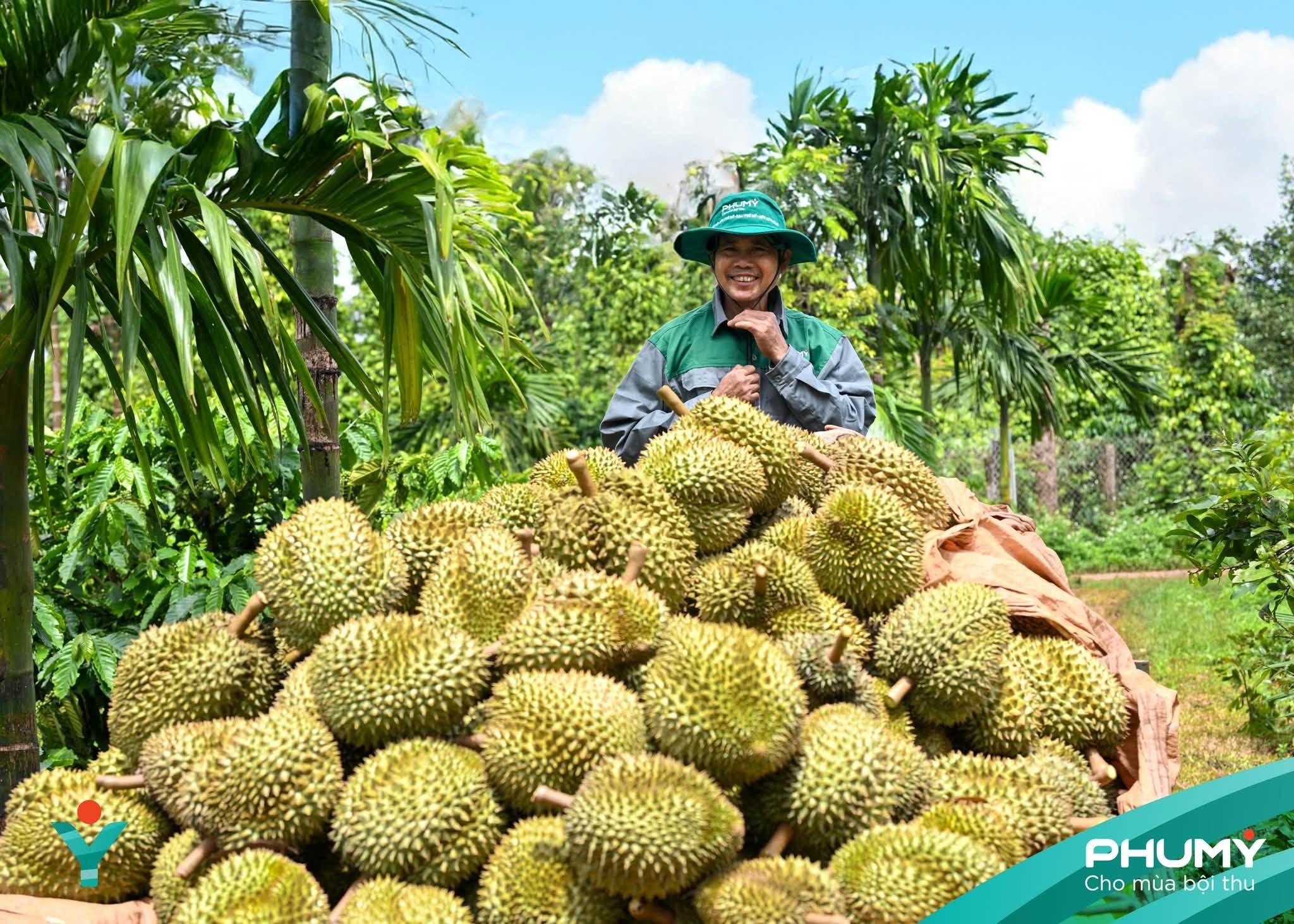 Bức ảnh tham gia Triển lãm ảnh nghệ thuật “Nữ hoàng của đại ngàn xanh”. Nguồn: PVFCCo.