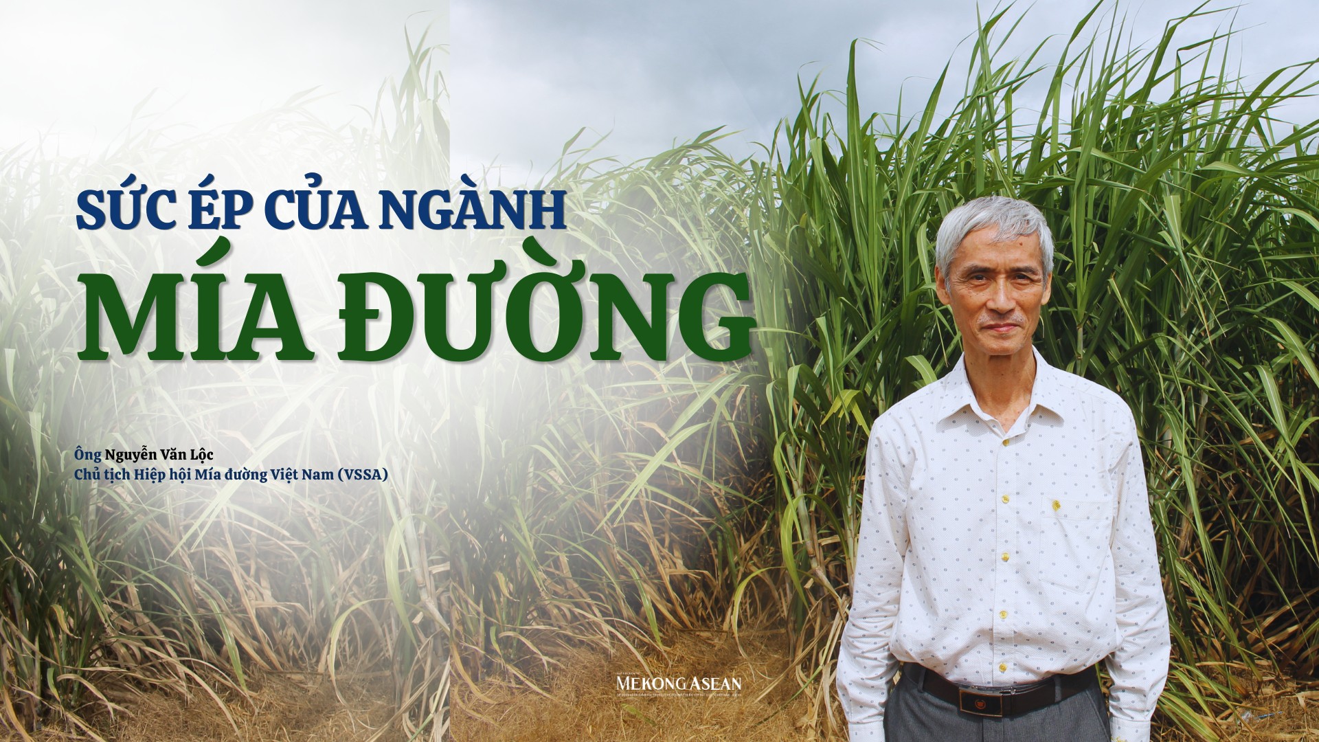 Sức ép của ngành mía đường