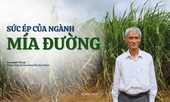 Sức ép của ngành mía đường