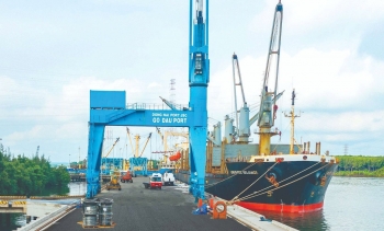 Cổ đông một doanh nghiệp cảng biển sắp nhận 111 tỷ đồng tiền cổ tức