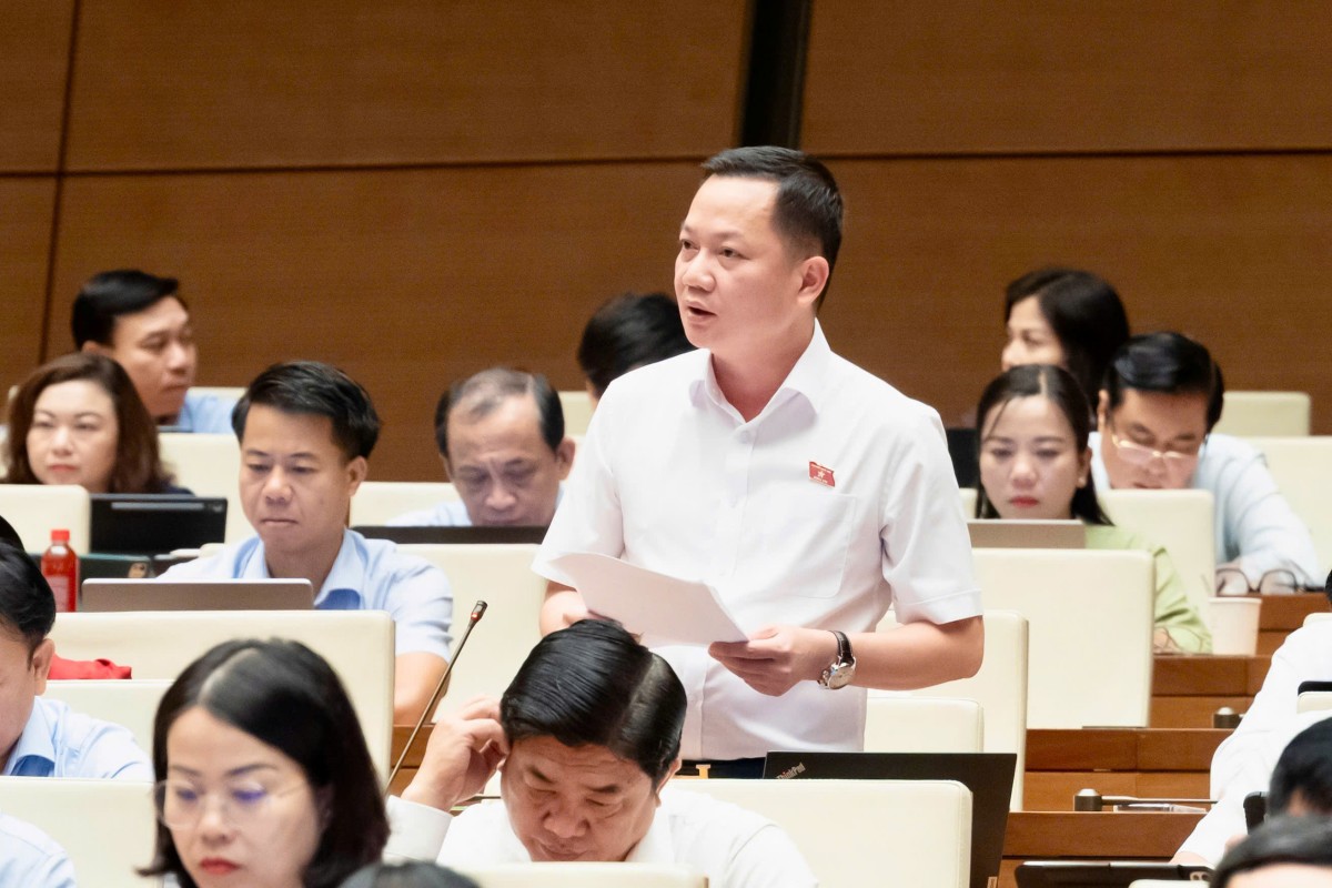 'Thao túng đối với bất động sản là hành vi rất nguy hiểm'