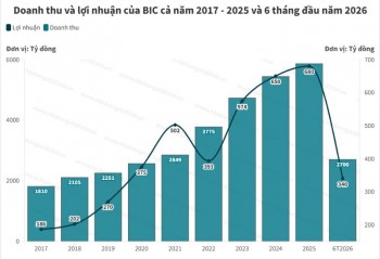 Bảo hiểm BIC chốt mức chia cổ tức bằng tiền mặt cao hơn dự kiến