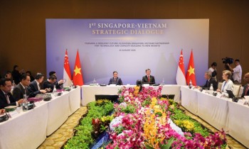 Việt Nam - Singapore hướng đến tương lai chung tự cường