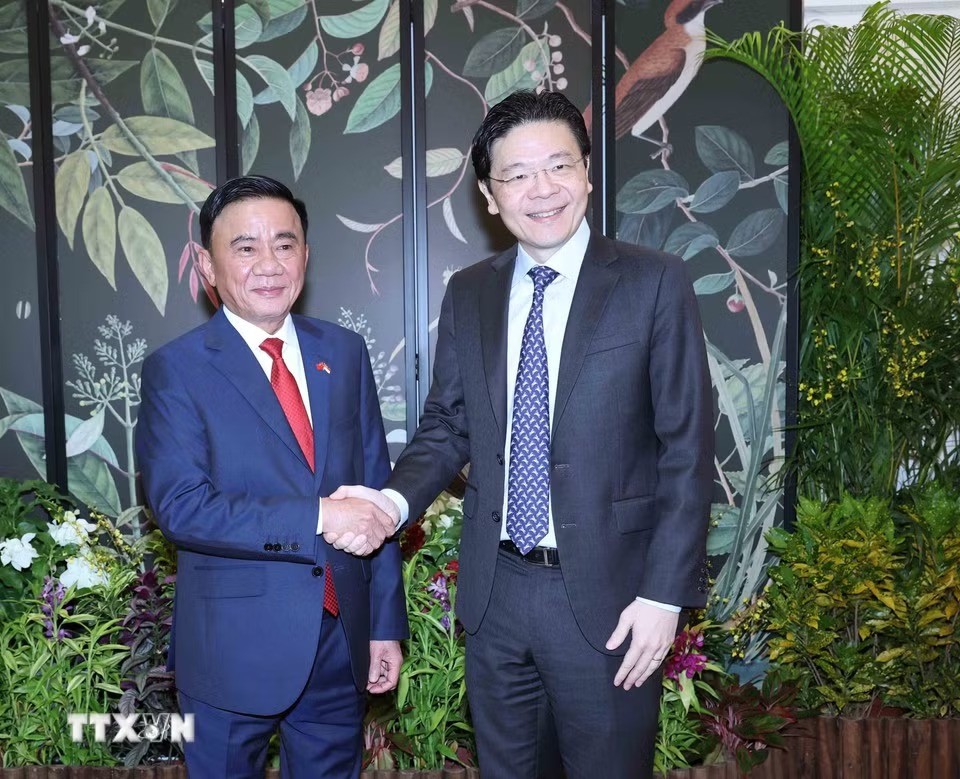 Việt Nam - Singapore thúc đẩy đồng nghiên cứu, phát triển và sản xuất