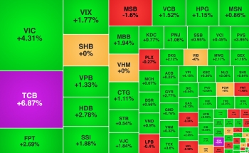 VIC vượt đỉnh lịch sử, TCB tăng trần khớp lệnh đột biến