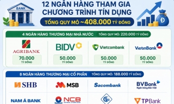 12 ngân hàng dành 408.000 tỷ đồng tiếp vốn cho động lực tăng trưởng